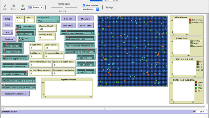 Runnable Models Page Started
