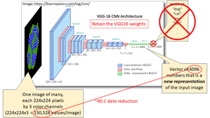Viral Pandemics WG Seminar Series for April 18, 2024 Slides and YouTube available