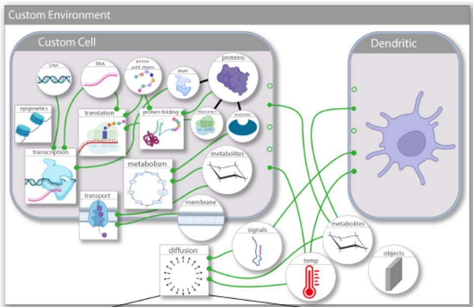 Enabling Scalable, Hybrid Simulations of Cellular Systems