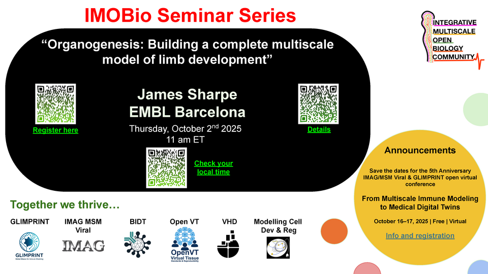 Organogenesis: Building a complete multiscale model of limb development