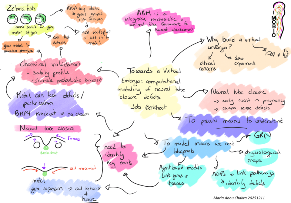 Towards a Virtual Embryo: computational modeling of neural tube closure defects