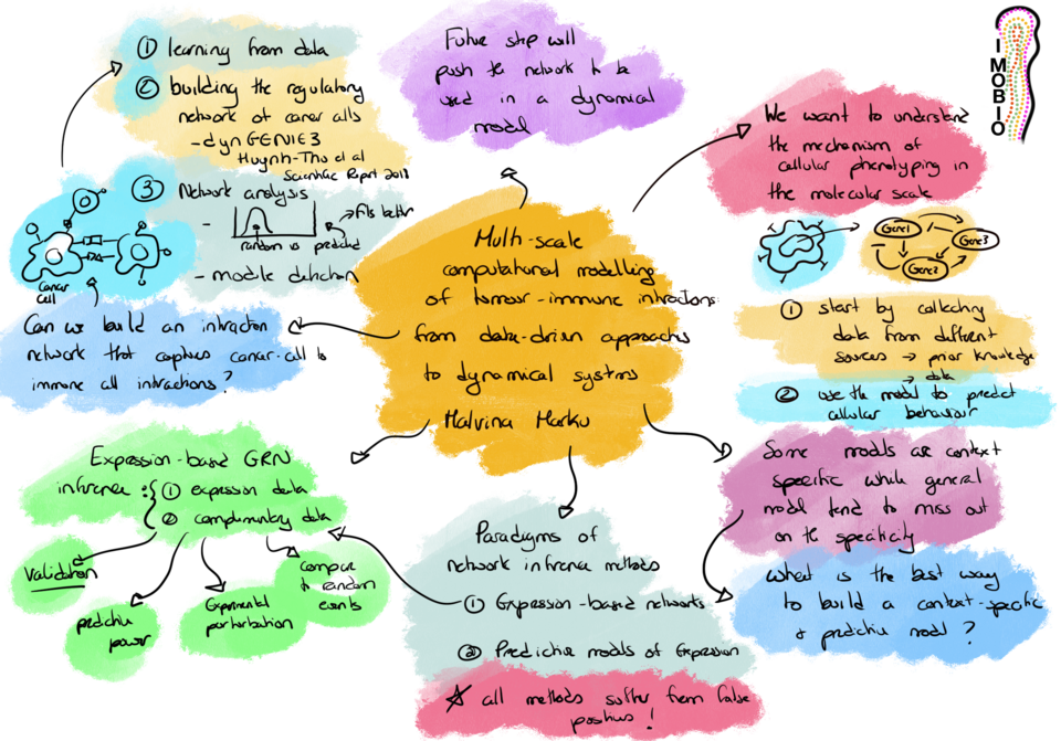 Multi-scale computational modelling of tumour-immune interactions: from data-driven approaches to dynamical systems.