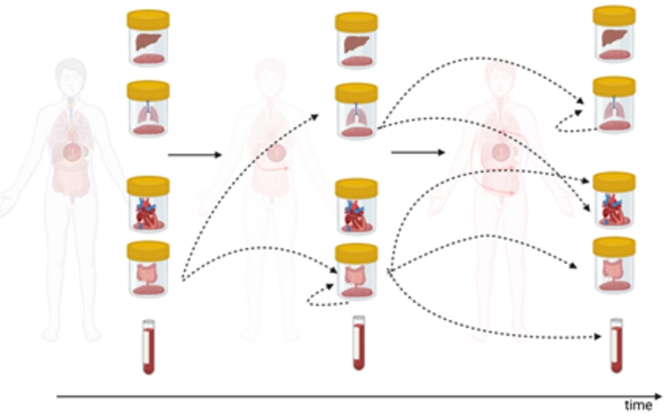 Critical Illness Digital Twins: Insight from the Fusion of Data-driven and Mechanistic Modeling.