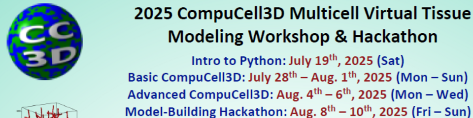 20th Annual CompuCell3D Virtual Tissue Modeling Workshop and Hackathon -- Indiana University, July 28th to August 10th, 2025