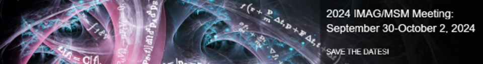 IMAG/MSM Consortium Mtg: Setting up Teams for Biomedical Digital Twins (BDT)