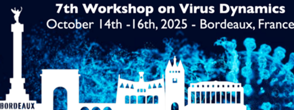 Workshop on Virus Dynamics, 14-16th October 2025 in Bordeaux, France
